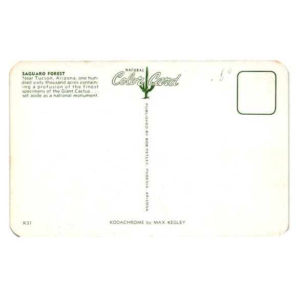 Saguaro Forest Vintage Postcard Tucson Arizona Desert Landscape Bob Petley - Picture 2 of 2